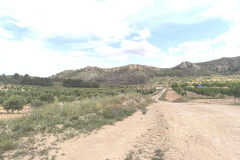 Landejendom i Jumilla, Murcia, Jumilla - € 39.990 | Ref: 70038-c26 - foto 10