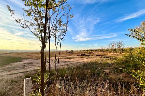 Landejendom i Yecla, Murcia, Yecla - € 230.000 | Ref: 68035 - foto 3