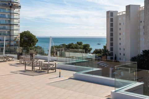 Leilighet i Palmanova, Mallorca, Palmanova - € 450 000 | Ref: 32610 - foto 12