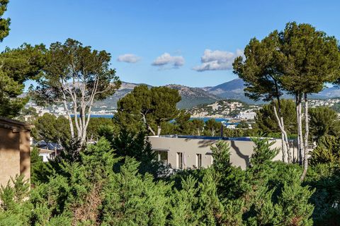 Villa i Santa Ponsa, Mallorca, Santa Ponsa - € 2.950.000 | Ref: 32600 - foto 23