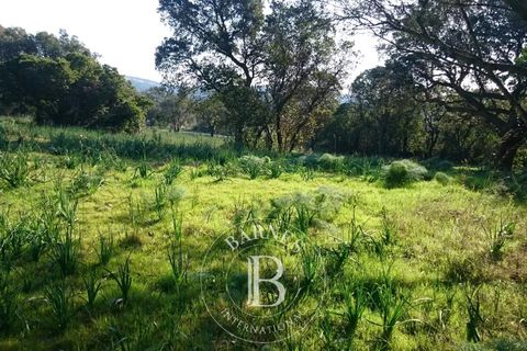 Helårsgrund i Lecci, Corse-du-Sud, Lecci - € 460.000 | Ref: RV2030 - foto 2