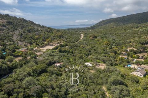 Helårsgrund i Porto-Vecchio, Corse-du-Sud, Porto-Vecchio - € 490.000 | Ref: RV2048 - foto 2