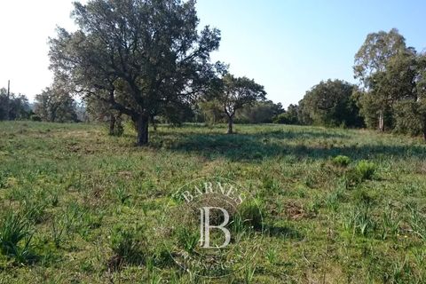Helårsgrund i Porto-Vecchio, Corse-du-Sud, Porto-Vecchio - € 490.000 | Ref: RV2048 - foto 3