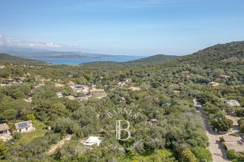 Helårsgrund i Porto-Vecchio, Corse-du-Sud, Porto-Vecchio - € 490.000 | Ref: RV2048 - foto 9