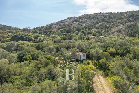 Helårsgrund i Porto-Vecchio, Corse-du-Sud, Porto-Vecchio - € 490.000 | Ref: RV2048 - foto 10