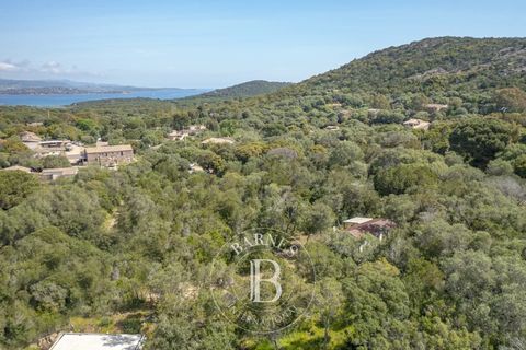 Helårsgrund i Porto-Vecchio, Corse-du-Sud, Porto-Vecchio - € 490.000 | Ref: RV2048 - foto 12
