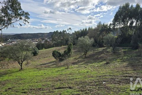 Helårsgrund i Cadaval, Lisbon, Cadaval - € 80.000 | Ref: 800307 - foto 5