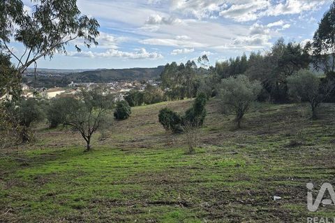 Helårsgrund i Cadaval, Lisbon, Cadaval - € 80.000 | Ref: 800307 - foto 6