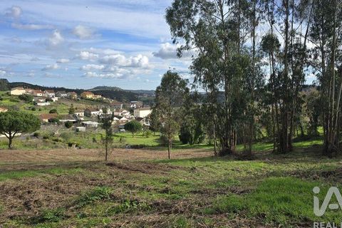 Helårsgrund i Cadaval, Lisbon, Cadaval - € 80.000 | Ref: 800307 - foto 9
