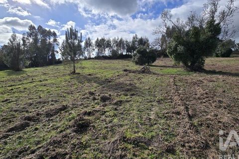 Helårsgrund i Cadaval, Lisbon, Cadaval - € 80.000 | Ref: 800307 - foto 11