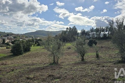 Helårsgrund i Cadaval, Lisbon, Cadaval - € 80.000 | Ref: 800307 - foto 13