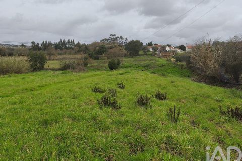 Terra a Alcobaca, Leiria, Alcobaca - € 139.000 | Ref: 802636 - foto 15