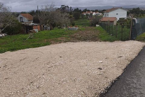 Terra a Alcobaca, Leiria, Alcobaca - € 139.000 | Ref: 802636 - foto 16