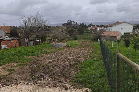 Terra a Alcobaca, Leiria, Alcobaca - € 139.000 | Ref: 802636 - foto 17