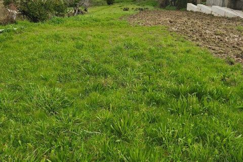 Terra a Alcobaca, Leiria, Alcobaca - € 139.000 | Ref: 802636 - foto 18