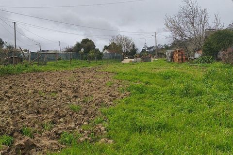 Terra a Alcobaca, Leiria, Alcobaca - € 139.000 | Ref: 802636 - foto 19