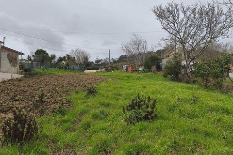 Terra a Alcobaca, Leiria, Alcobaca - € 139.000 | Ref: 802636 - foto 20