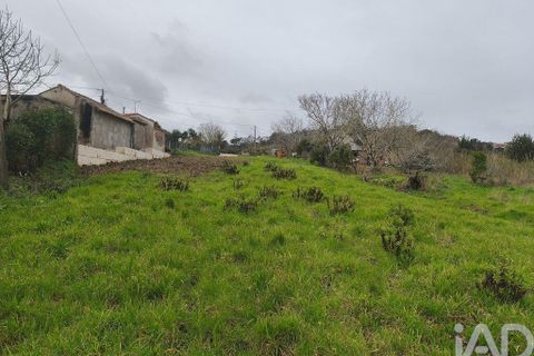 Terra a Alcobaca, Leiria, Alcobaca - € 139.000 | Ref: 802636 - foto 21