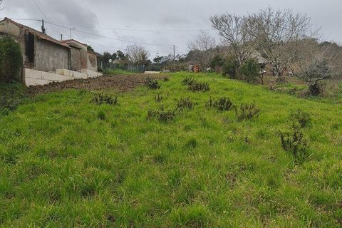Terra a Alcobaca, Leiria, Alcobaca - € 139.000 | Ref: 802636 - foto 22