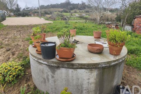Terra a Alcobaca, Leiria, Alcobaca - € 139.000 | Ref: 802636 - foto 23