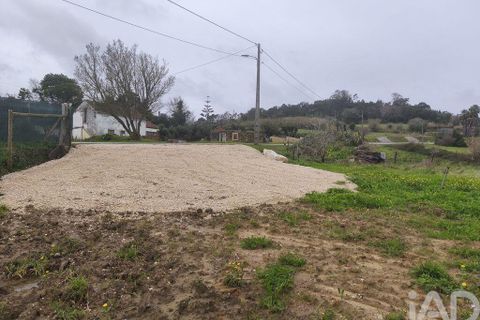 Terra a Alcobaca, Leiria, Alcobaca - € 139.000 | Ref: 802636 - foto 24