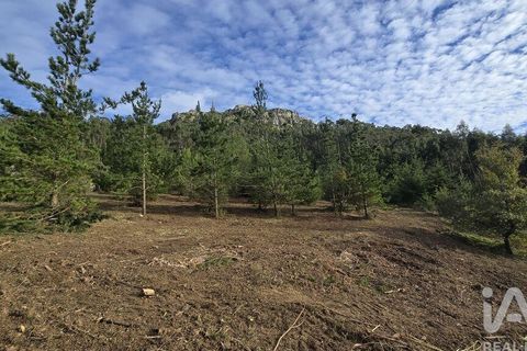 Helårsgrund i Cadaval, Lisbon, Cadaval - € 140.000 | Ref: 804333 - foto 5