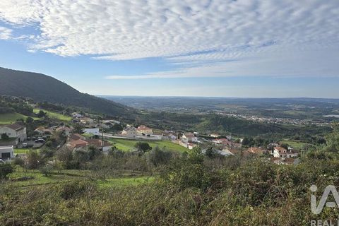 Helårsgrund i Cadaval, Lisbon, Cadaval - € 140.000 | Ref: 804333 - foto 7