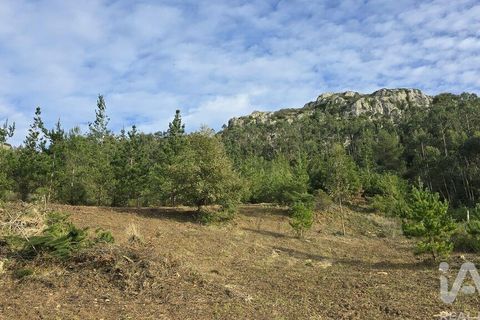 Helårsgrund i Cadaval, Lisbon, Cadaval - € 140.000 | Ref: 804333 - foto 8