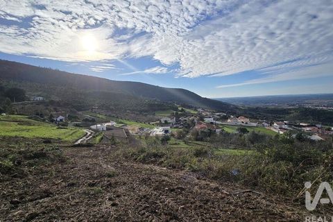 Helårsgrund i Cadaval, Lisbon, Cadaval - € 140.000 | Ref: 804333 - foto 9