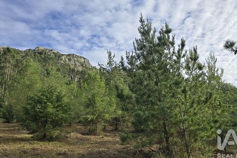 Helårsgrund i Cadaval, Lisbon, Cadaval - € 140.000 | Ref: 804333 - foto 11