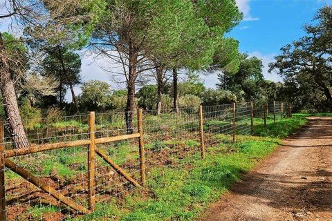 Helårsgrund i Lagos, Faro, Lagos - € 210.000 | Ref: 803414 - foto 1