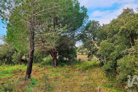 Helårsgrund i Lagos, Faro, Lagos - € 210.000 | Ref: 803414 - foto 2