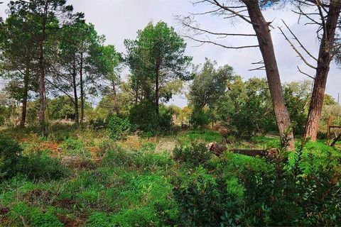 Helårsgrund i Lagos, Faro, Lagos - € 210.000 | Ref: 803414 - foto 4