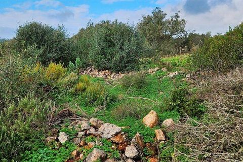 Helårsgrund i Lagos, Faro, Lagos - € 210.000 | Ref: 803414 - foto 5
