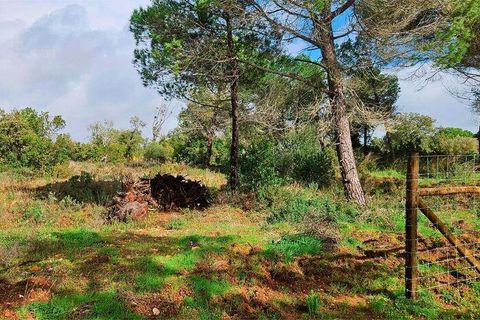 Helårsgrund i Lagos, Faro, Lagos - € 210.000 | Ref: 803414 - foto 6