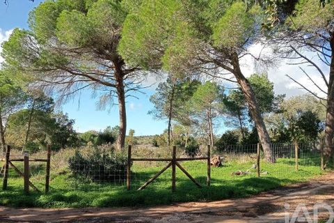 Helårsgrund i Lagos, Faro, Lagos - € 210.000 | Ref: 803414 - foto 7