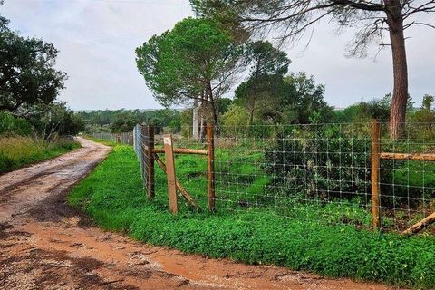 Helårsgrund i Lagos, Faro, Lagos - € 210.000 | Ref: 803414 - foto 8