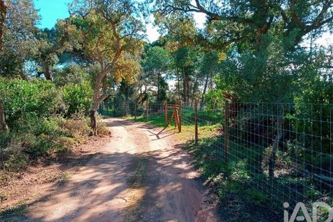 Helårsgrund i Lagos, Faro, Lagos - € 210.000 | Ref: 803414 - foto 9