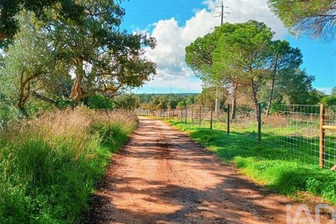 Helårsgrund i Lagos, Faro, Lagos - € 210.000 | Ref: 803414 - foto 10