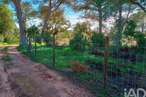 Helårsgrund i Lagos, Faro, Lagos - € 210.000 | Ref: 803414 - foto 12