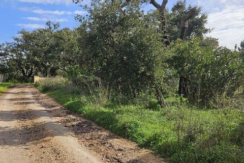 Helårsgrund i Lagos, Faro, Lagos - € 210.000 | Ref: 803414 - foto 13