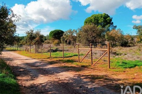 Helårsgrund i Lagos, Faro, Lagos - € 210.000 | Ref: 803414 - foto 14