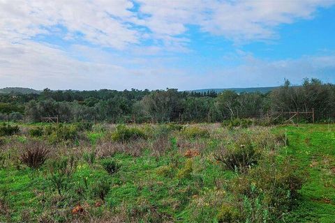 Helårsgrund i Lagos, Faro, Lagos - € 210.000 | Ref: 803414 - foto 16