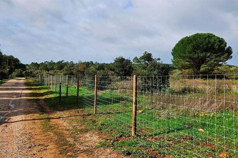 Helårsgrund i Lagos, Faro, Lagos - € 210.000 | Ref: 803414 - foto 17