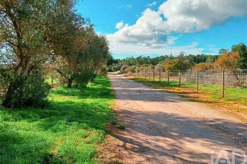 Helårsgrund i Lagos, Faro, Lagos - € 210.000 | Ref: 803414 - foto 18