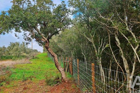 Helårsgrund i Lagos, Faro, Lagos - € 210.000 | Ref: 803414 - foto 19