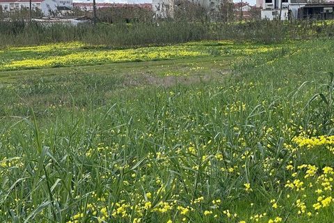 Helårsgrund i Peniche, Leiria, Peniche - € 475.000 | Ref: 808760 - foto 5