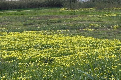 Helårsgrund i Peniche, Leiria, Peniche - € 475.000 | Ref: 808760 - foto 7