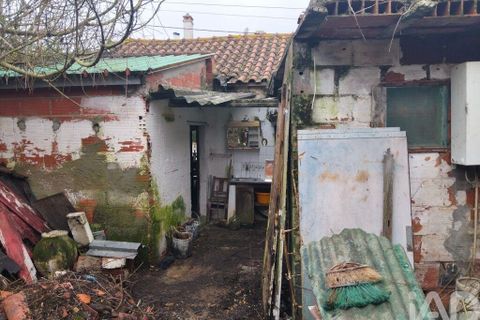 Byhus i Rio Maior, Santarem, Rio Maior - € 115.000 | Ref: 792584 - foto 29