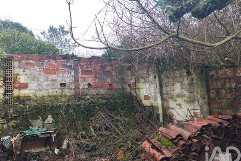 Byhus i Rio Maior, Santarem, Rio Maior - € 115.000 | Ref: 792584 - foto 31